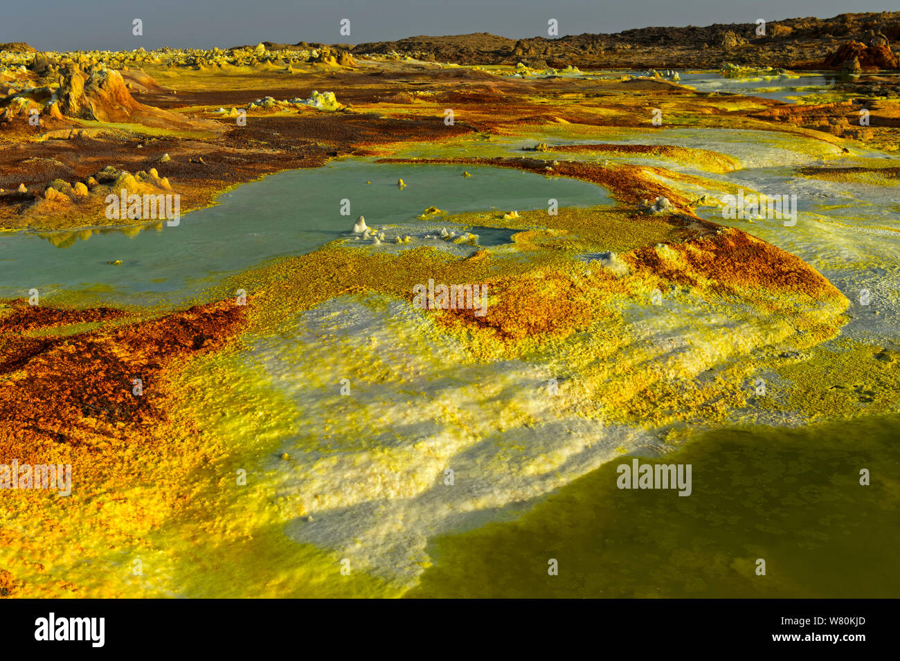 Des dépôts de sel en terrasses, de champ géothermique dépression Danakil, Dallol, Triangle Afar, Ethiopie Banque D'Images