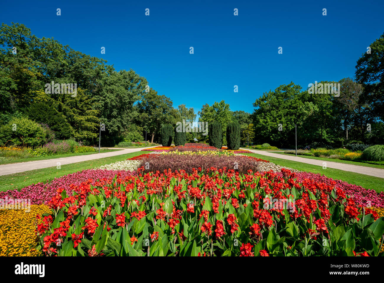 Vue d'une pelouse et jardin fleuri. beau parc Banque D'Images