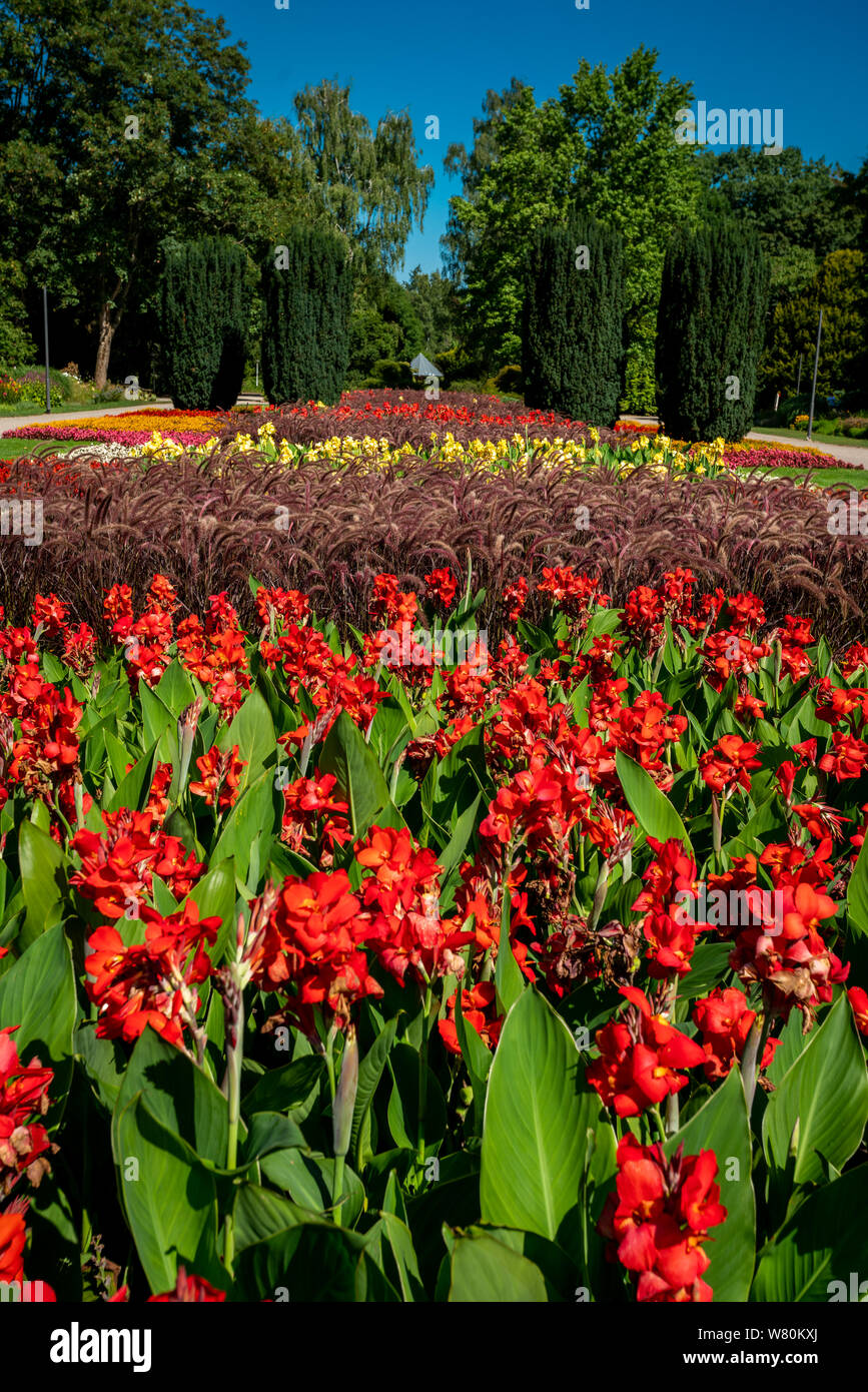 Vue d'une pelouse et jardin fleuri. beau parc Banque D'Images
