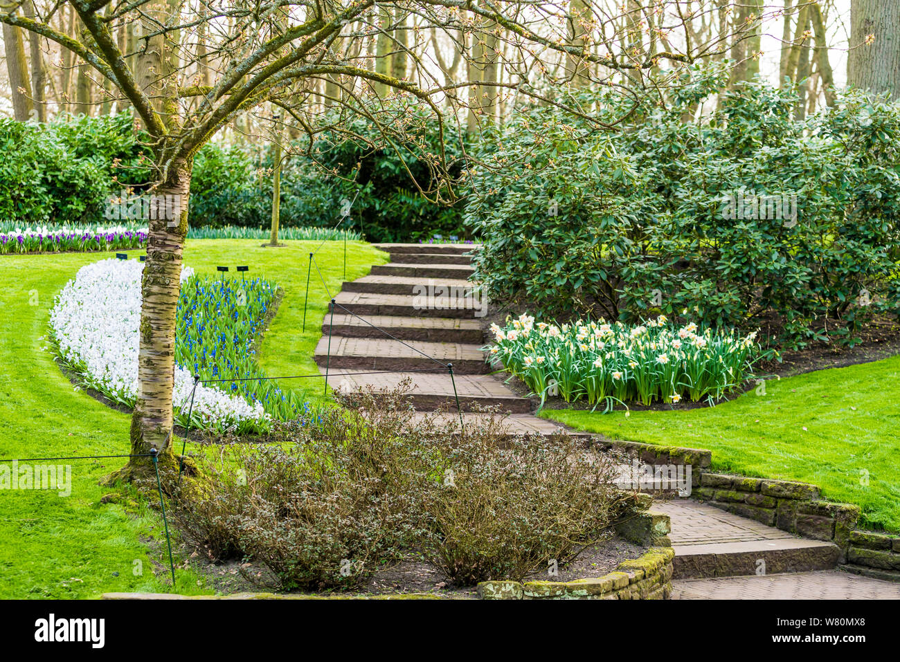 Jardin fleuri de fleurs Banque D'Images