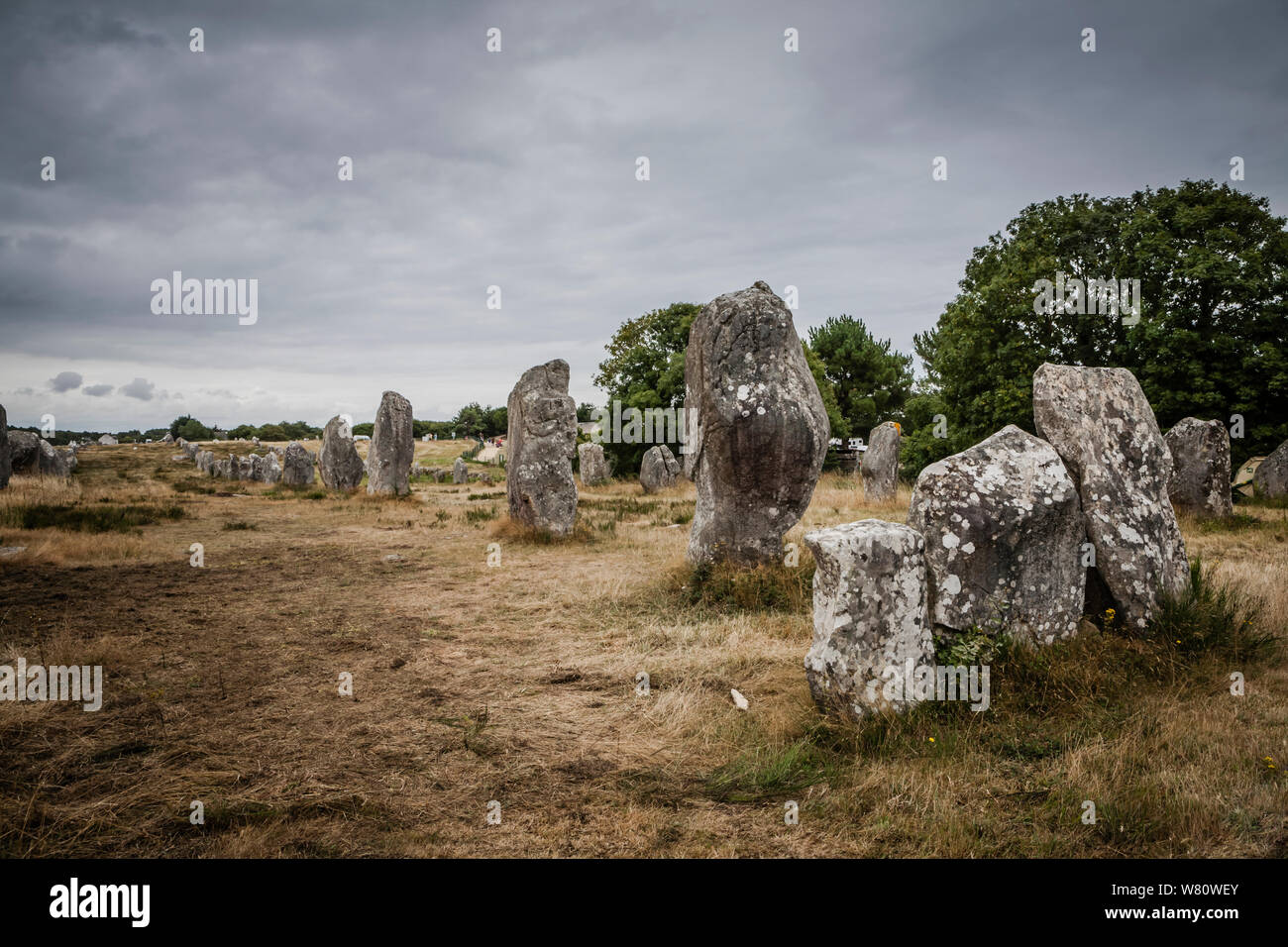 Néolithique mystérieux cercles de pierres, menhirs de Carnac en Bretagne, France Banque D'Images