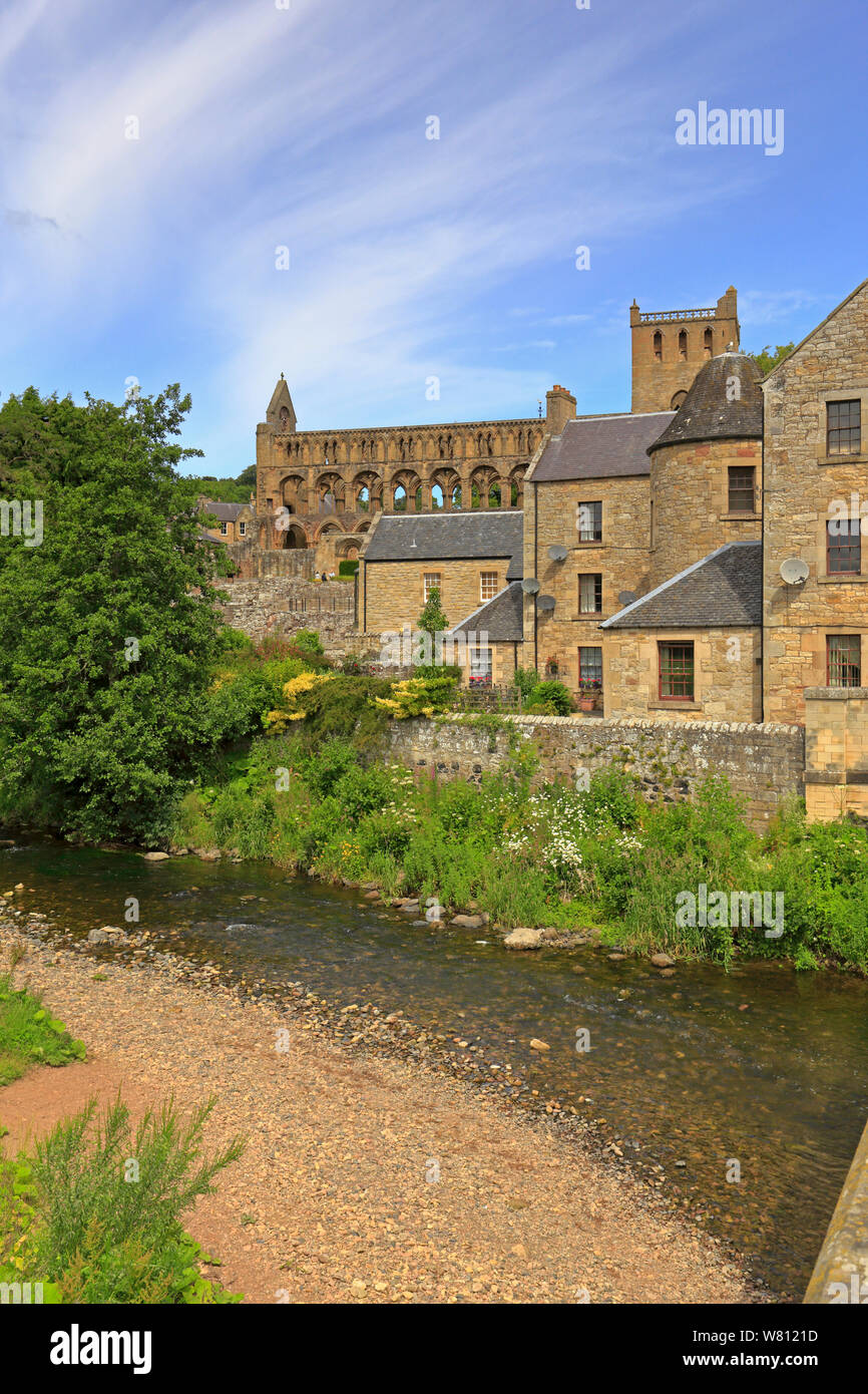 Les ruines de l'abbaye de Jedburgh par Jed Water, Jedburgh, Scottish Borders, Scotland, UK. Banque D'Images