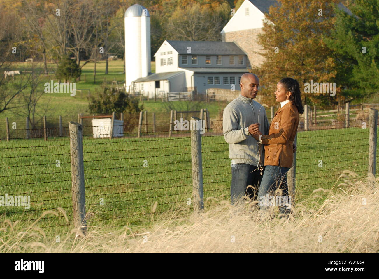 Couple dans les sweaters en automne Banque D'Images