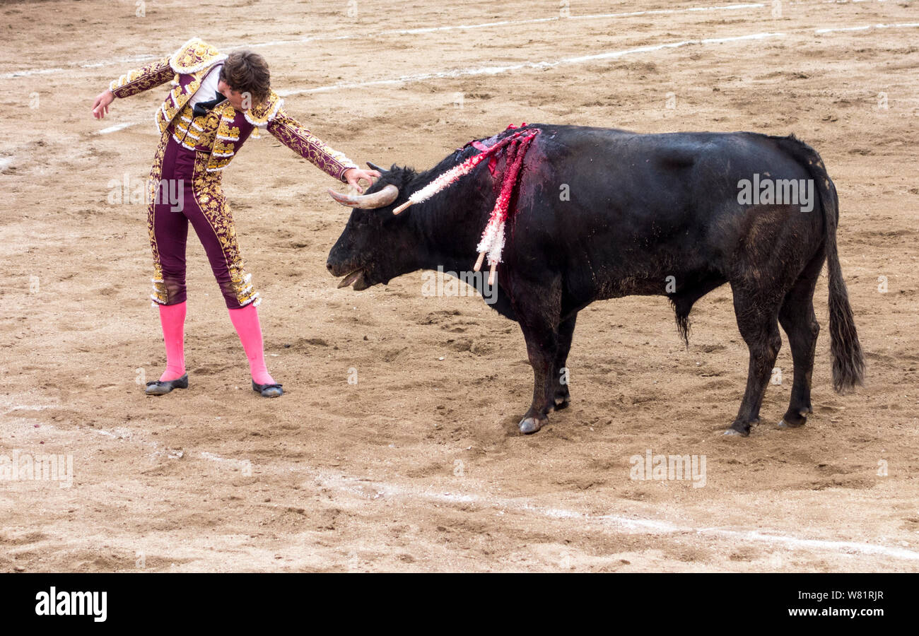 Ambato, ÉQUATEUR - Dec 15, 2015 - Torero stares down bull au cours de Carnaval Banque D'Images
