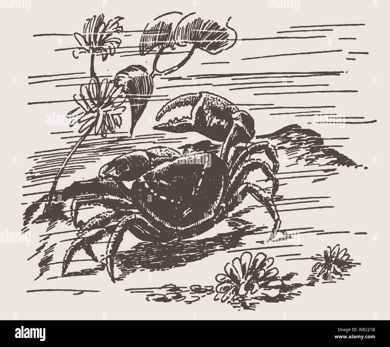 Jouet Crabe Qui Marche EUCOCO Pour Bébé - Jouet Éducatif Et Interactif - Bleu