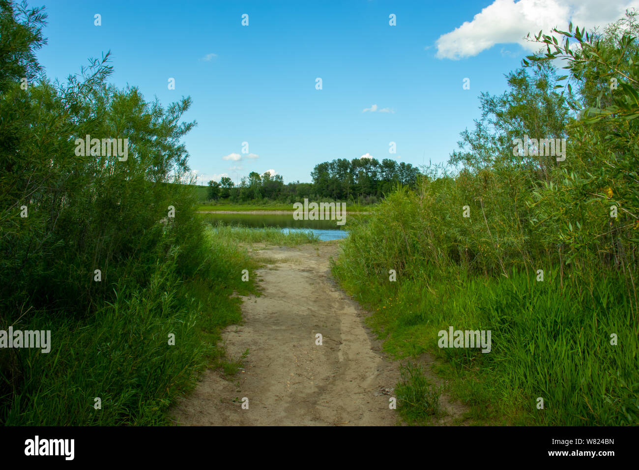 Sentiers pédestres le long de la rivière Saskatchewan Sud, à Saskatoon, Saskatchewan, Canada Banque D'Images