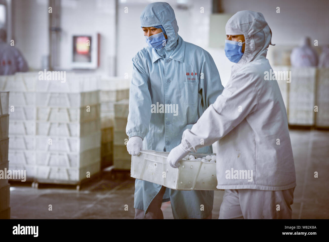 Les travailleurs chinois boules de riz gluant de transport, également connu sous le nom de Xiao Yuan ou Yuanxiao, dans une usine de Daoxiangcun en vue de la prochaine Lantern Festiva Banque D'Images