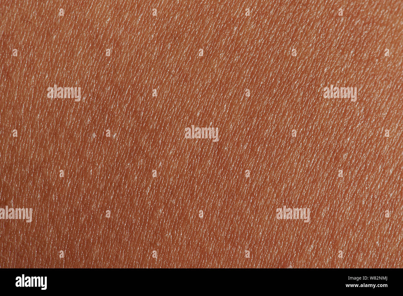La texture de la peau humaine brun foncé fond macro vue rapprochée Banque D'Images