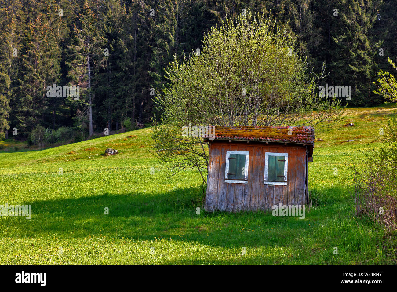 Petit jardin maison près de Hinterzarten Banque D'Images