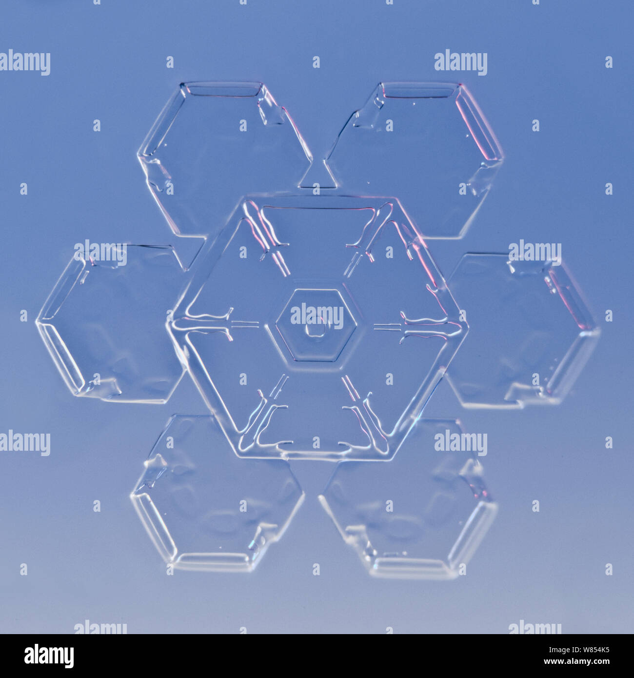 Snowflake amplifiés sous microscope, Lilehammer, Norvège Banque D'Images