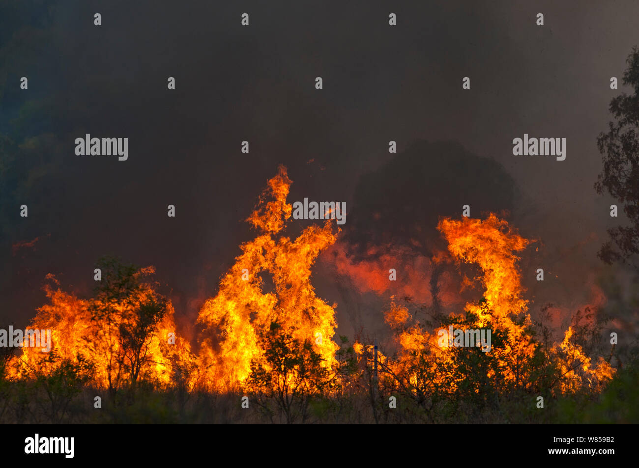 Feu de broussailles près des tours de la Charte dans le Queensland, Australie du Nord, Octobre Banque D'Images