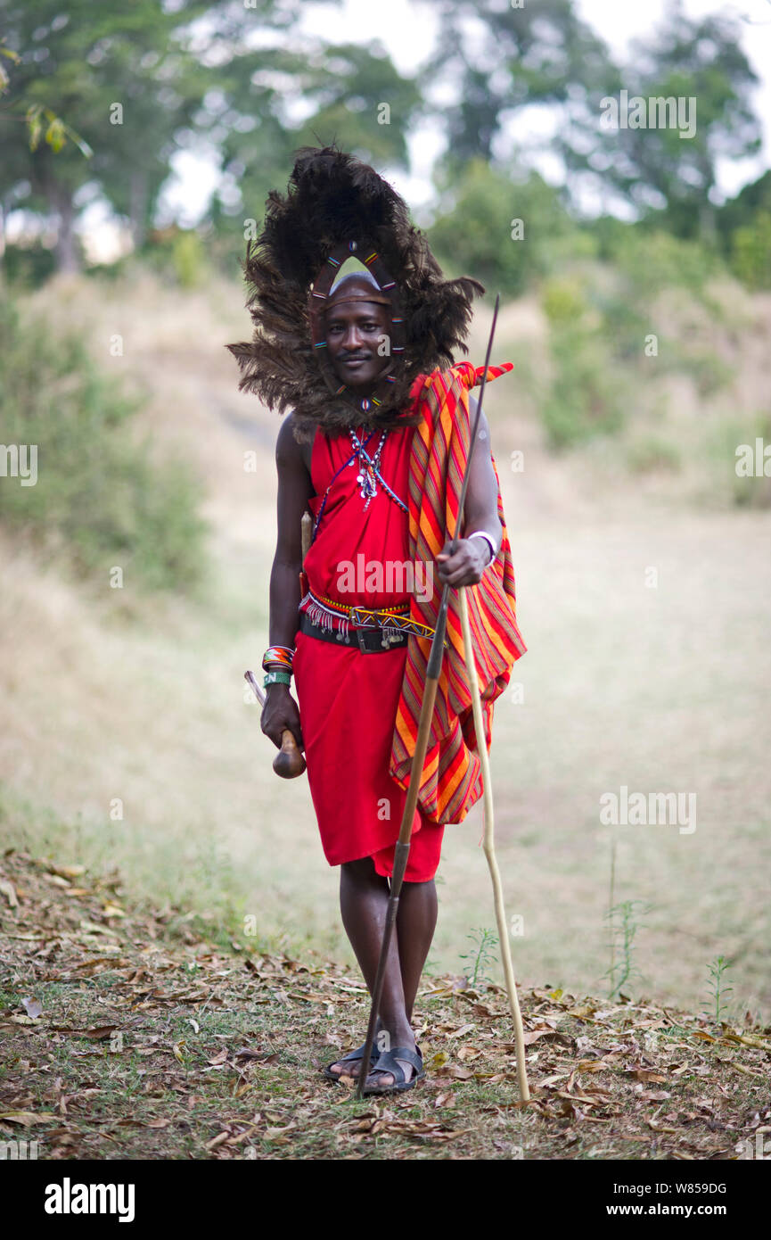 Kitkung Nampaso - guerrier Masai portant des plumes d'Autruche robe tête comme Euonoto portés lors du stade final d'warriorhood, Masai Mara, Kenya. Août 2010 Banque D'Images