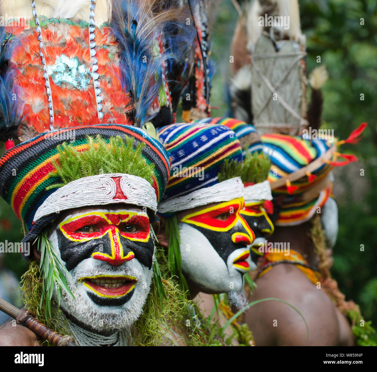 Les artistes interprètes ou exécutants de l'Anglimp Tribal dans District Province Waghi, effectuer à un Sing-sing - Hagen Voir les hautes terres de l'Ouest, la Papouasie-Nouvelle-Guinée, Août 2011 Banque D'Images