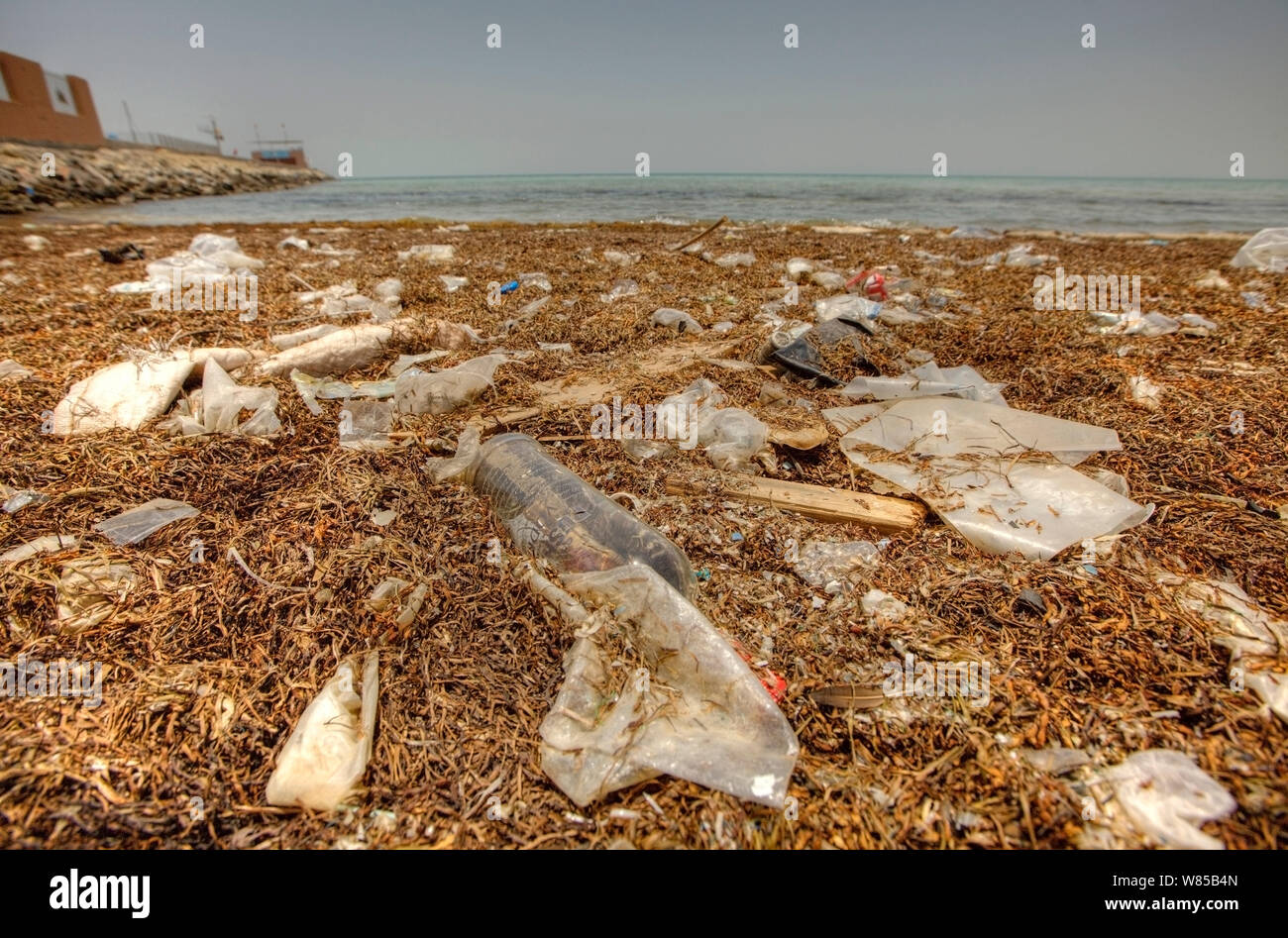 La pollution en plastique à Al Jazayer Beach, à Bahreïn. Tous les non-usages de rédaction doivent être effacés individuellement. Banque D'Images