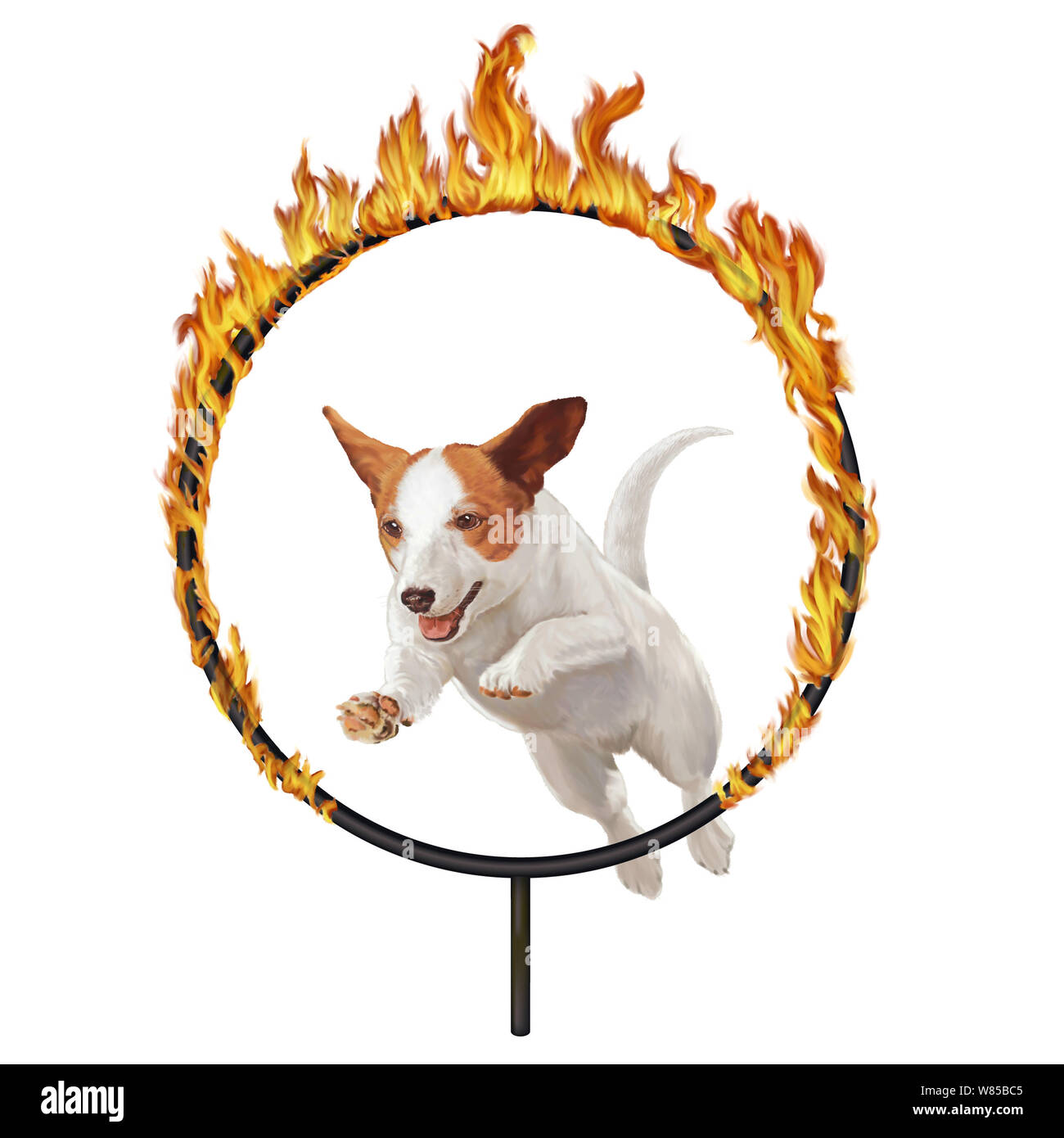 Petit chien saute par Hoop de feu Banque D'Images