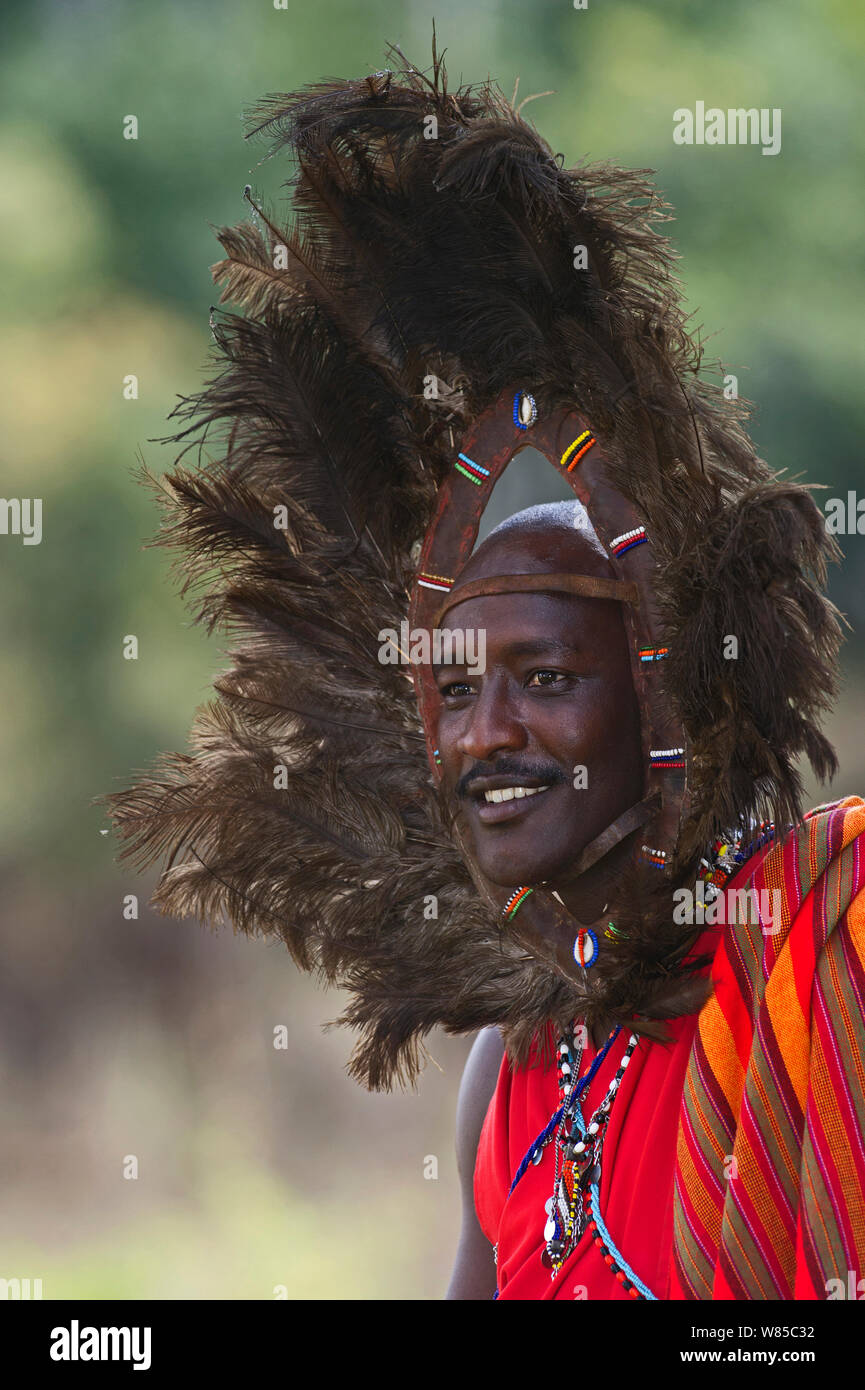 Kitkung Nampaso, un guerrier Massaï portant des plumes d'Autruche (Strutio) robe tête comme Euonoto portés lors du dernier stade de guerrier-hood, Masai Mara, Kenya, août 2010. Banque D'Images