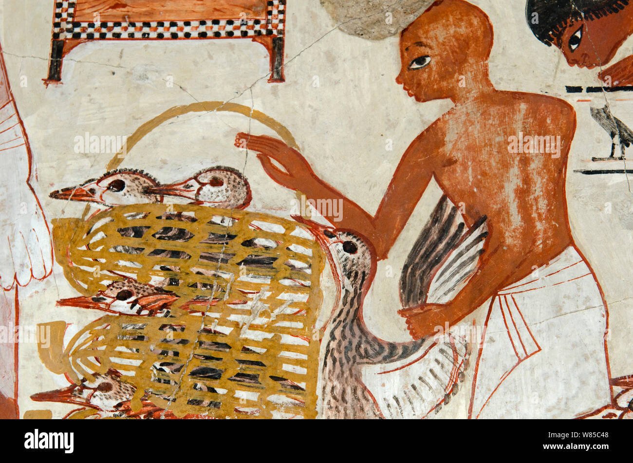 Peinture de la tombe de mur Nebamun, Thèbes, Égypte. L'inspection des troupes de Nebamun montrant des oies et des troupeaux de bétail. À partir de la fin du xviiie dynastie, autour de 1350 BC. Banque D'Images