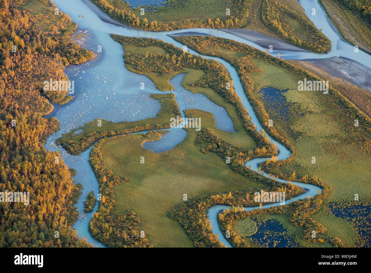 Le delta du Laitaure dans le Sarek National Park. Laponia Patrimoine mondial, en Laponie suédoise, la Suède. Septembre 2009. Banque D'Images
