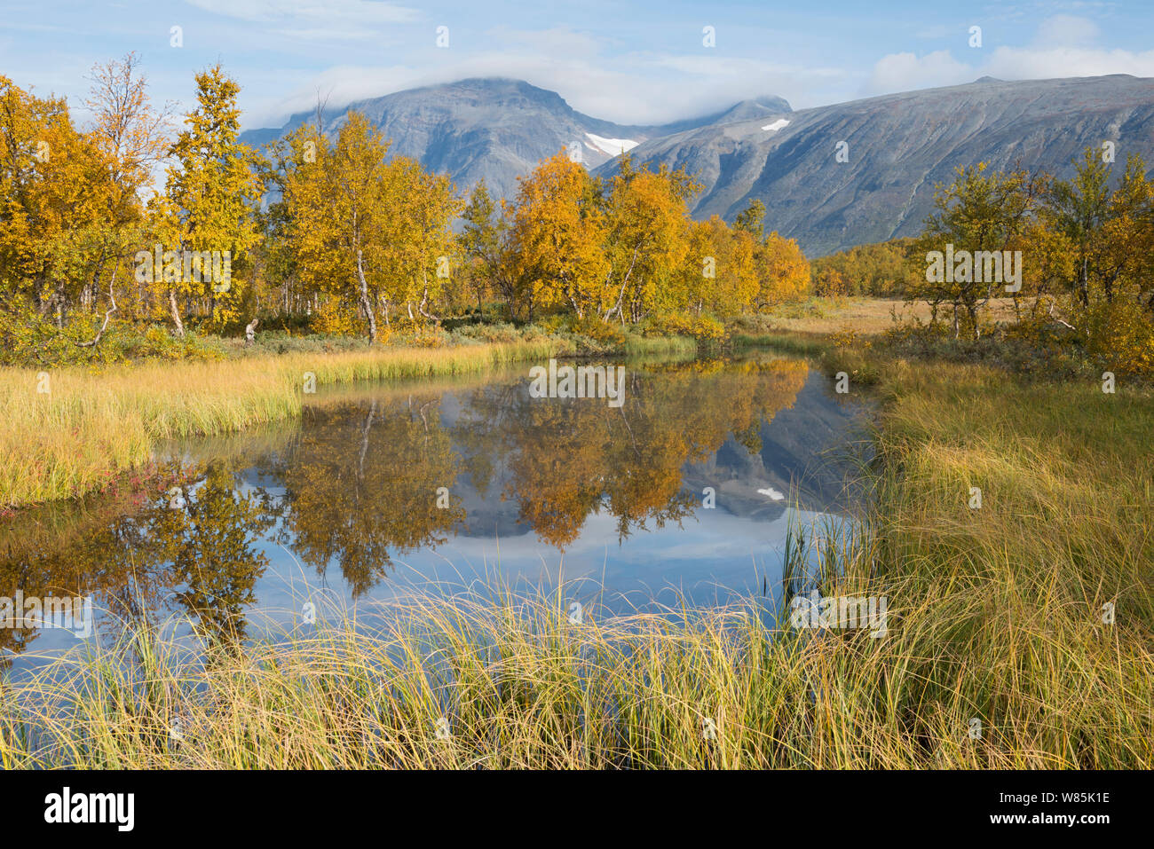 Dans le lac de la vallée de Rapadalen, Sarek National Park, site classé au Patrimoine Mondial de Laponia, Laponie, Suède, septembre. Banque D'Images