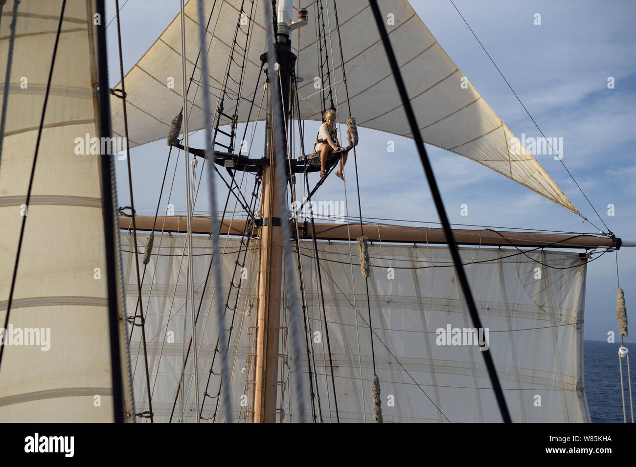 Corwith Cramer, un 134 pieds brigantine acier construit comme un navire de recherche pour l'opération à la voile. La mer des Sargasses, aux Bermudes Banque D'Images