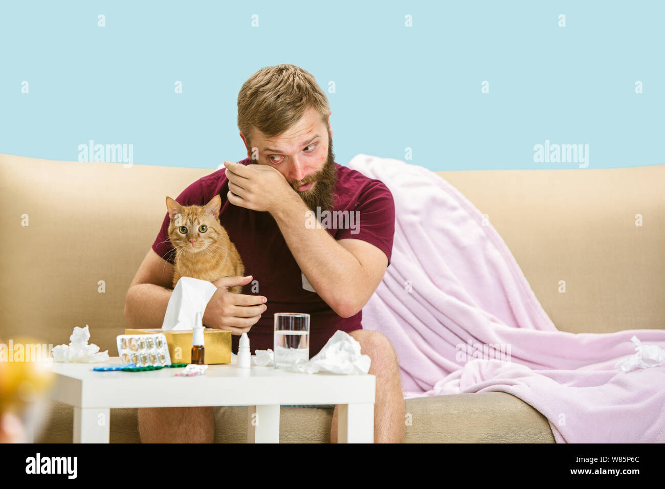 Jeune Homme Souffrant D Allergie Aux Poils De Chat Avoir Une Eruption Cutanee Des Demangeaisons Des Eternuements A La Serviette Assis Entoure De Serviettes Utilisees Tenant L Animal Prenez Des Medicaments Sans Aucun Resultat