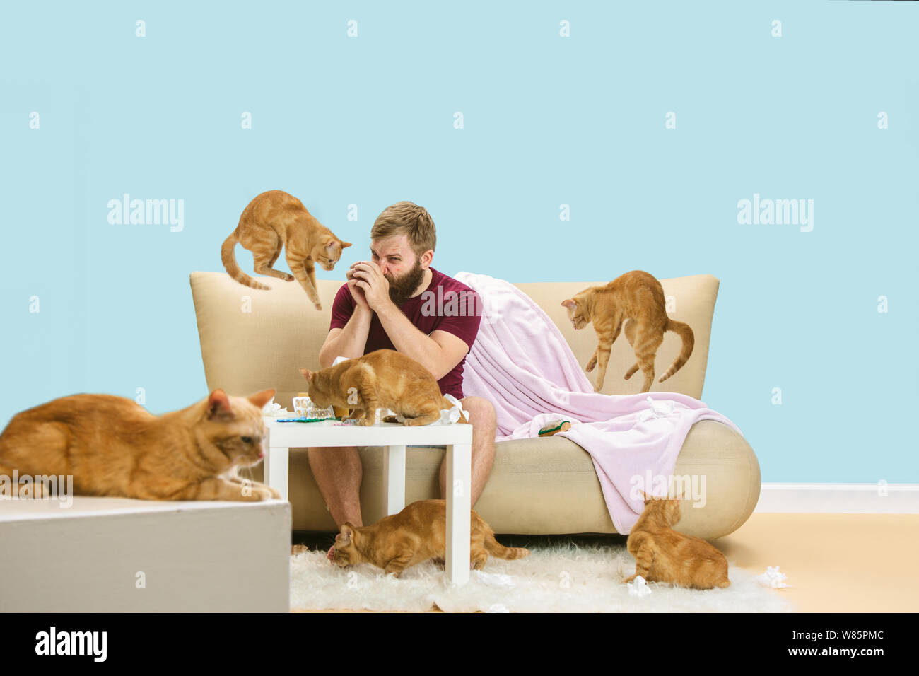 Allergie Au Chat Banque D Image Et Photos Alamy