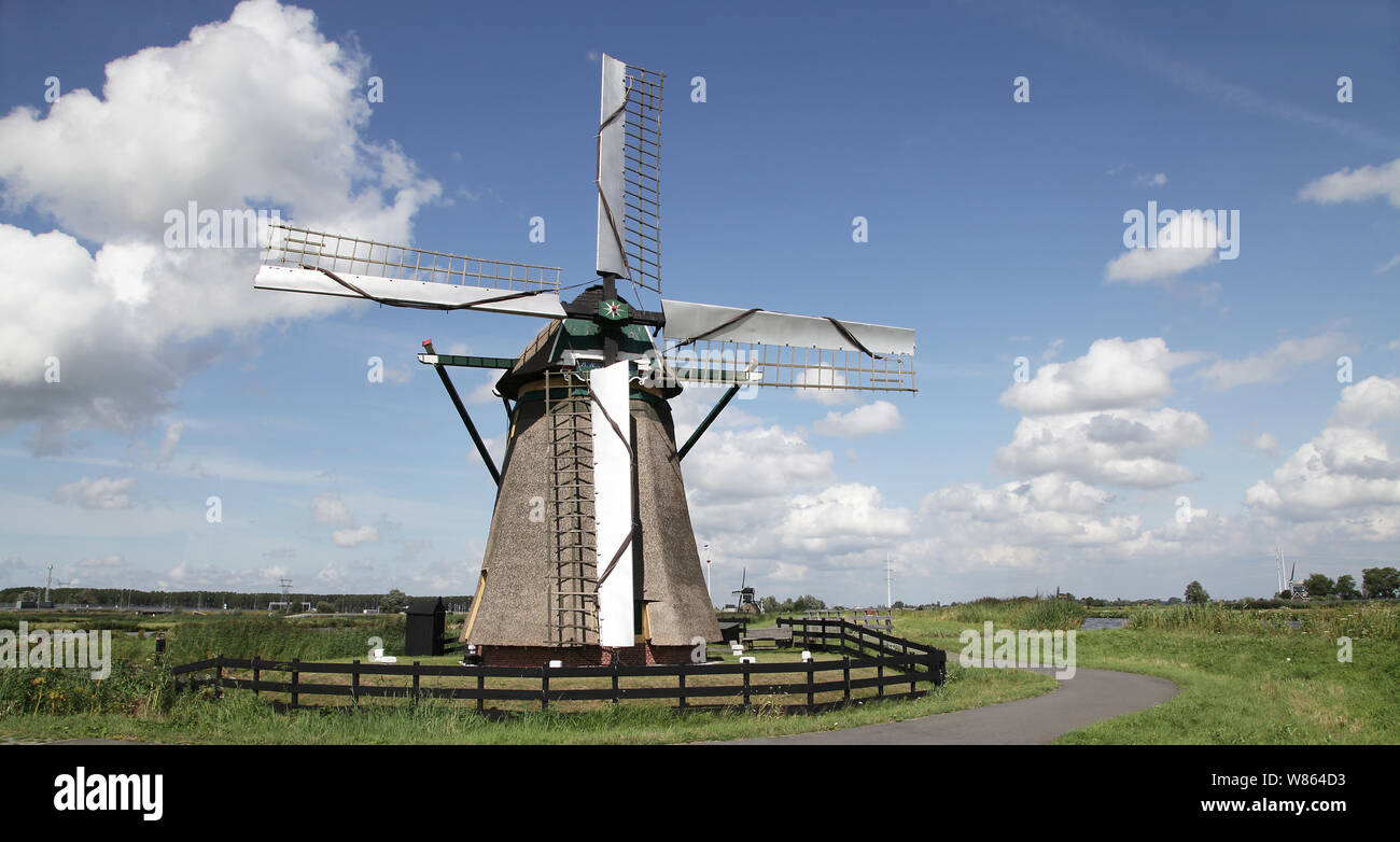 Les vaches paysage typiquement hollandais,champs ouverts un canal et un moulin à vent hollandais.Panorama du paysage pittoresque typique des Pays-Bas en été avec l'herbe verte meadows Banque D'Images