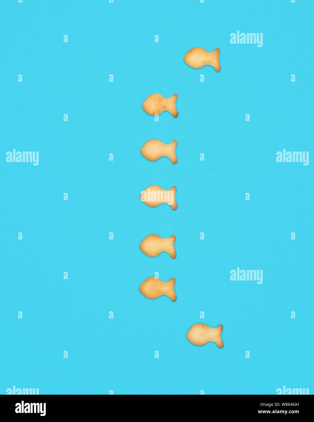 ( Le support, par les cookies en forme de poisson sur fond bleu Banque D'Images