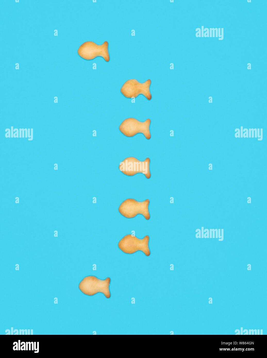 Support Sign ) à partir des cookies en forme de poisson sur fond bleu Banque D'Images