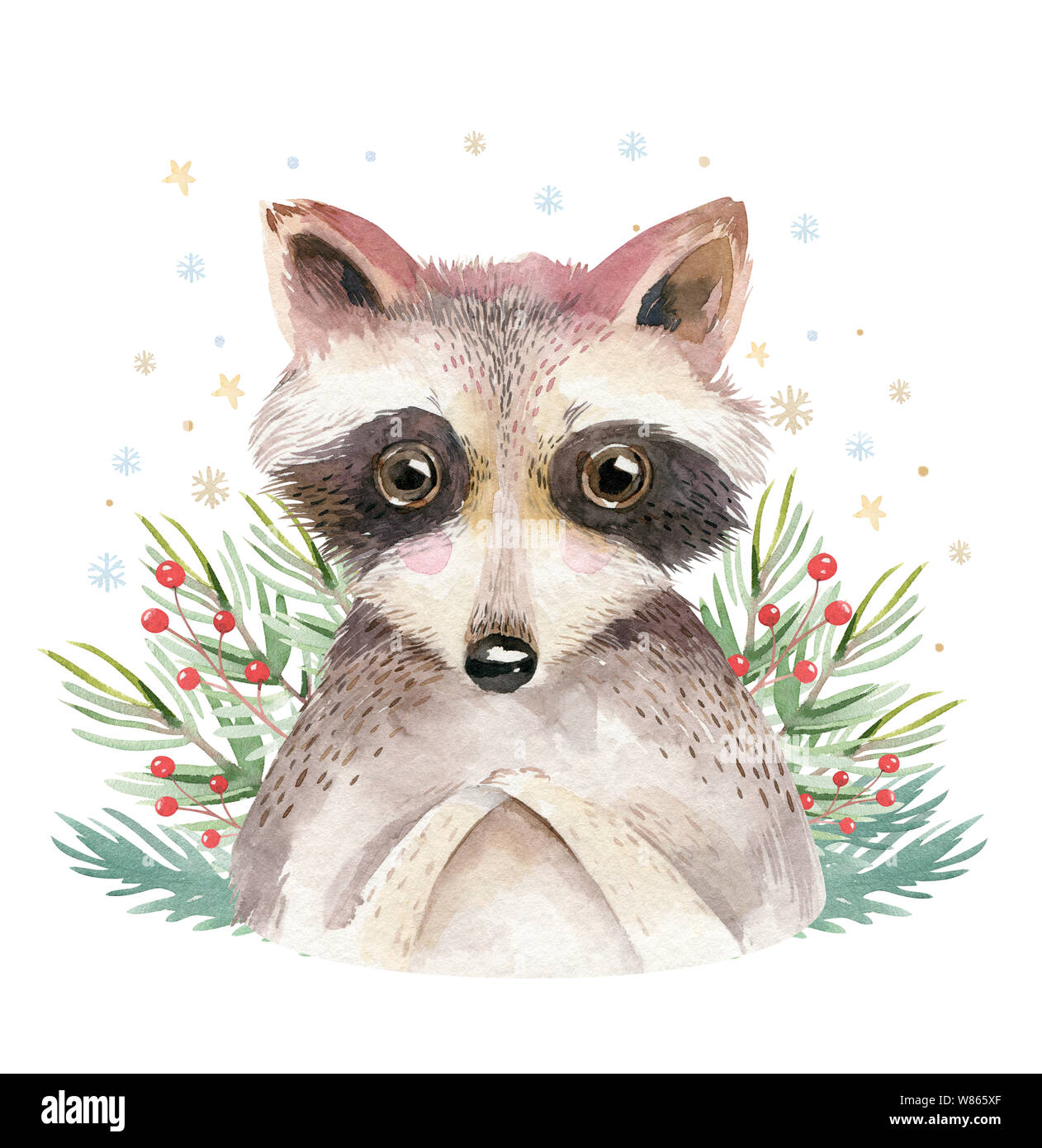 Aquarelle Mignon Bebe Raton Laveur Cartoon Animal Portrait Design Carte De Vacances D Hiver Sur Fond Blanc Nouvelle Annee Decoration Elements Joyeux Noel Photo Stock Alamy
