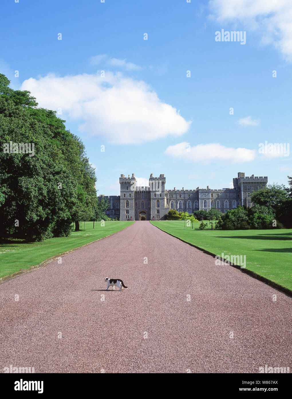 Le Château de Windsor à partir de la Longue Marche, Windsor, Berkshire, Angleterre, Royaume-Uni Banque D'Images