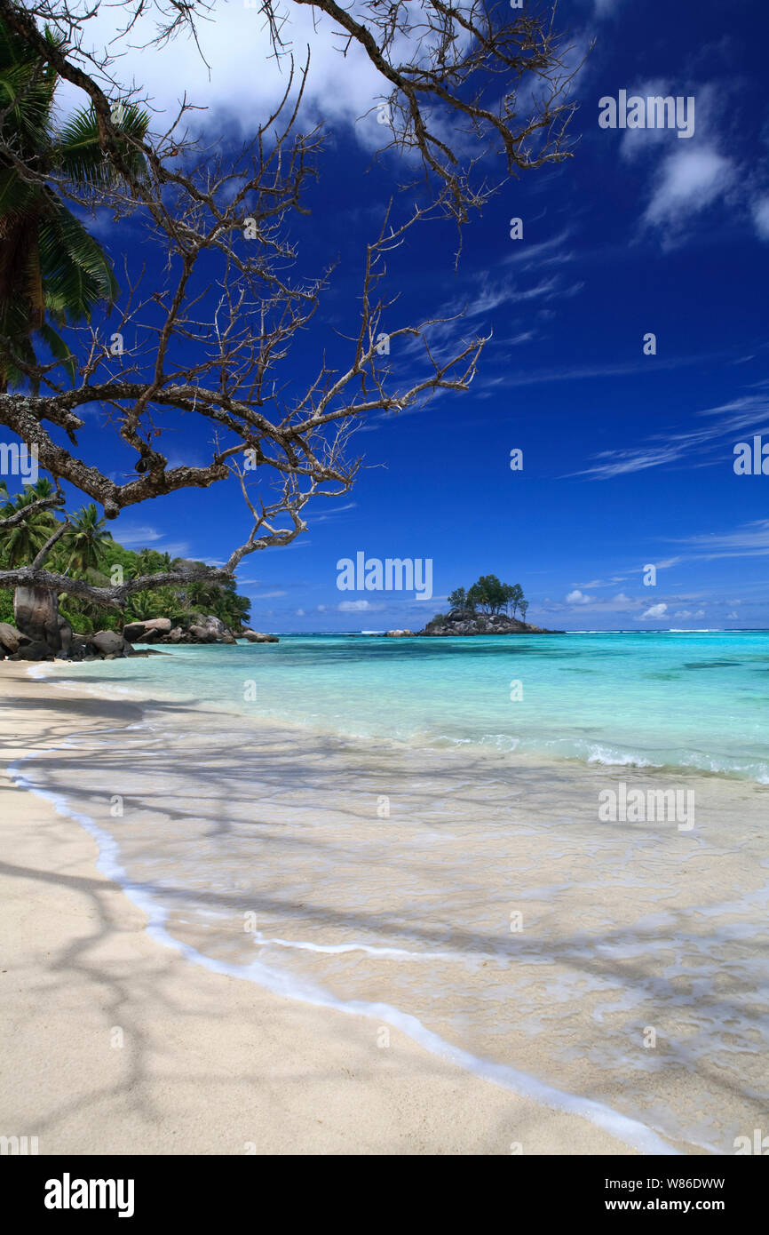 Pittoresque de l'île de Mahé, Seychelles, océan Indien Banque D'Images