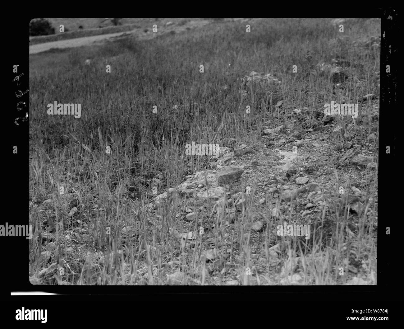 Une partie de la semence tomba sur stoney places Banque D'Images