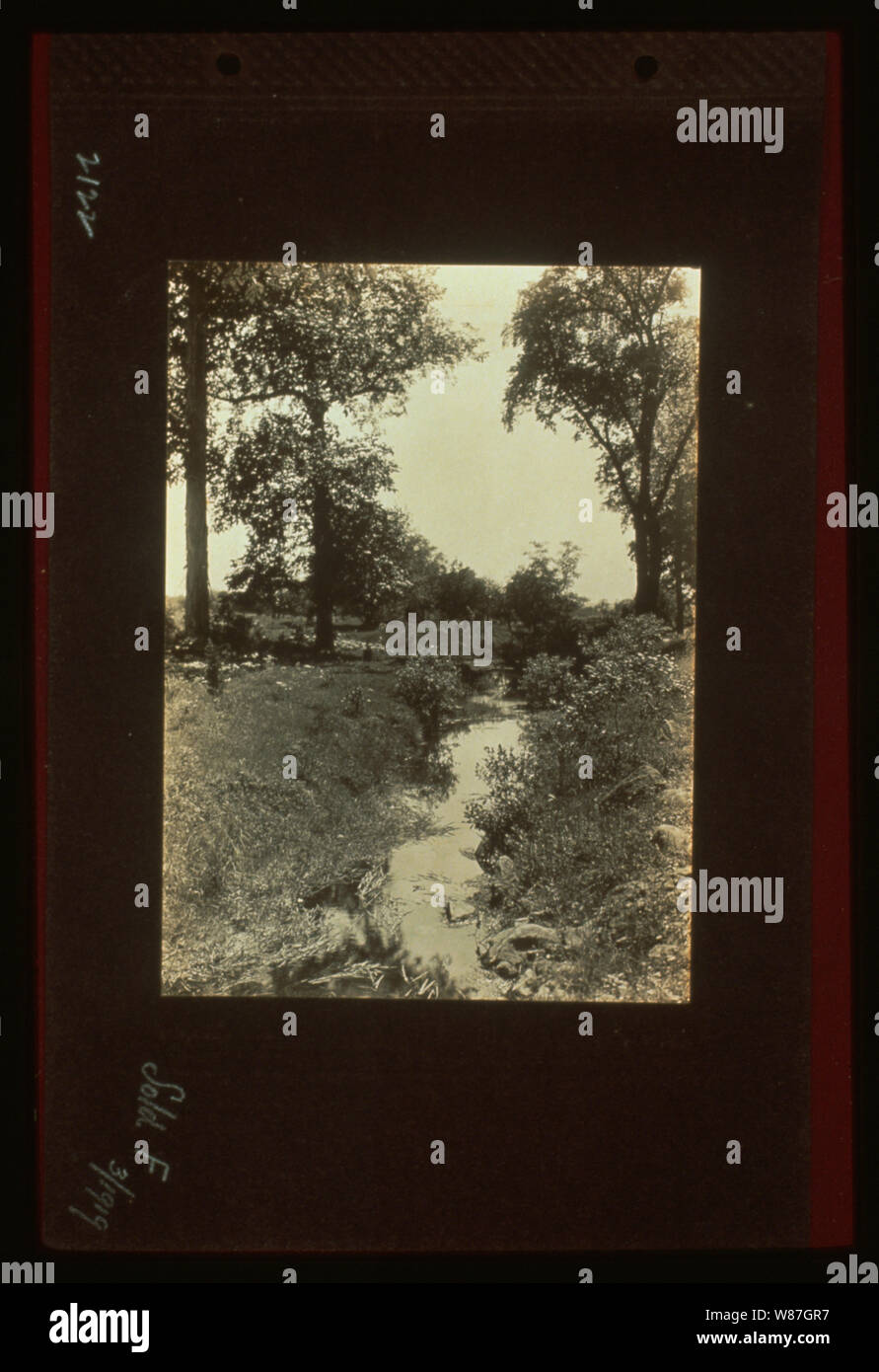 Des tirages de référence 1917-1918, à partir de négatifs. Banque D'Images