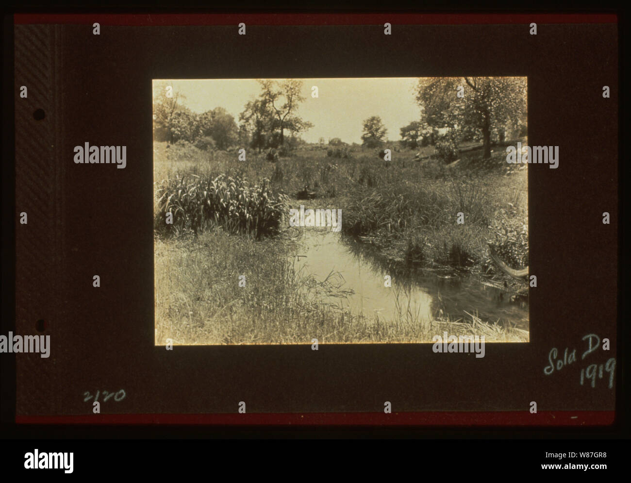 Des tirages de référence 1917-1918, à partir de négatifs. Banque D'Images