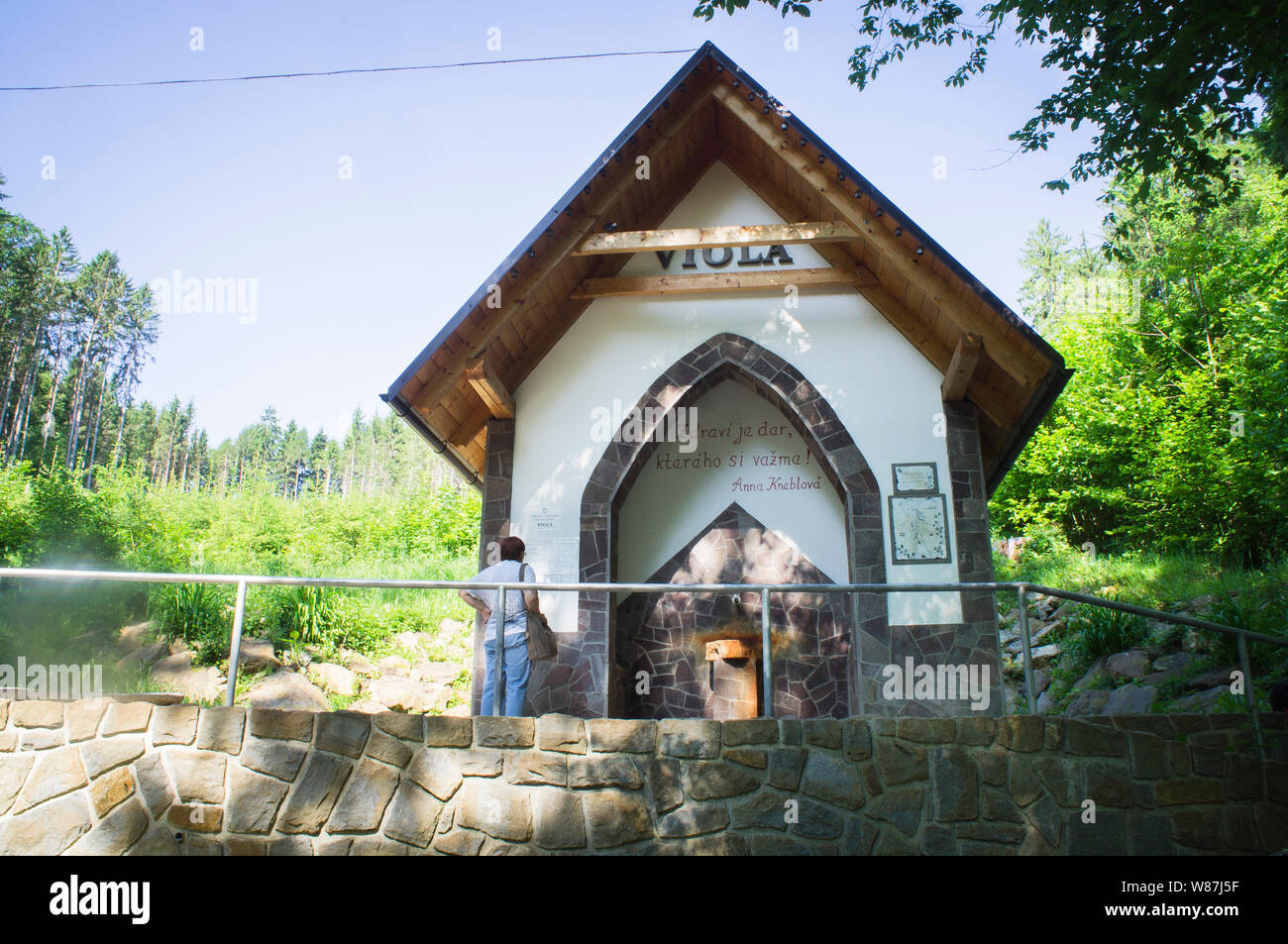 Source minérale de l'alto dans Luhacovice Spa, Région de Zlin, en République tchèque, le 4 juin 2019. (CTK Photo/Libor Sojka) Banque D'Images