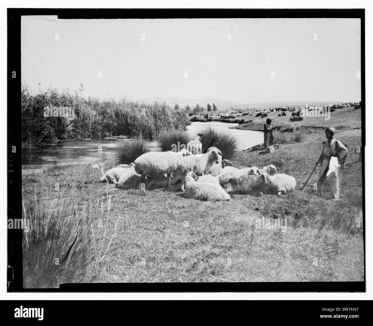 Psaume 23 Banque D'Images