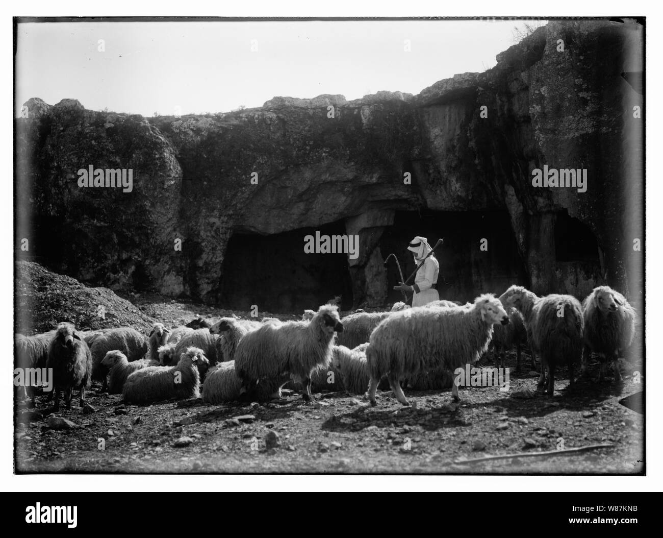 Psaume 23 Banque D'Images