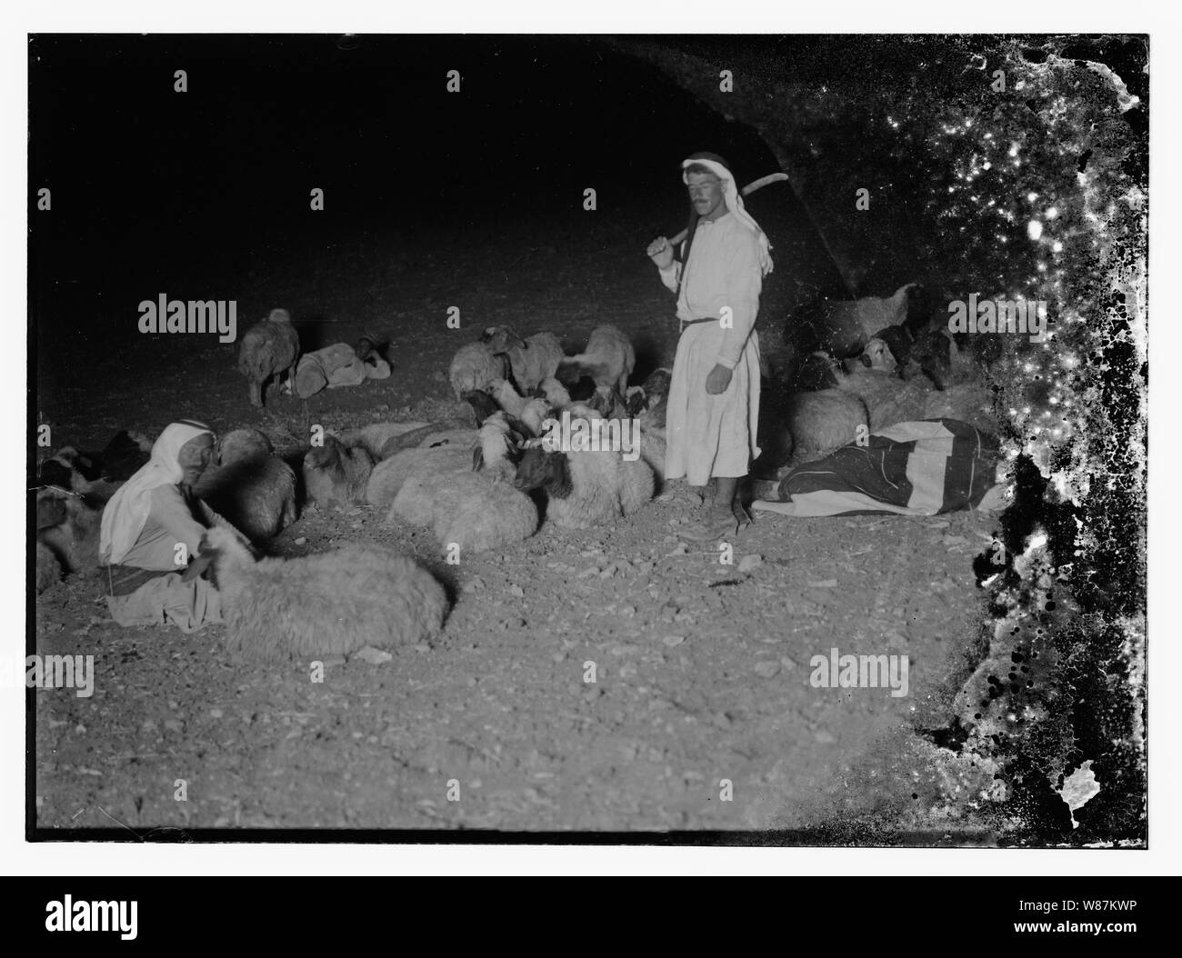 Psaume 23, les moutons Banque D'Images