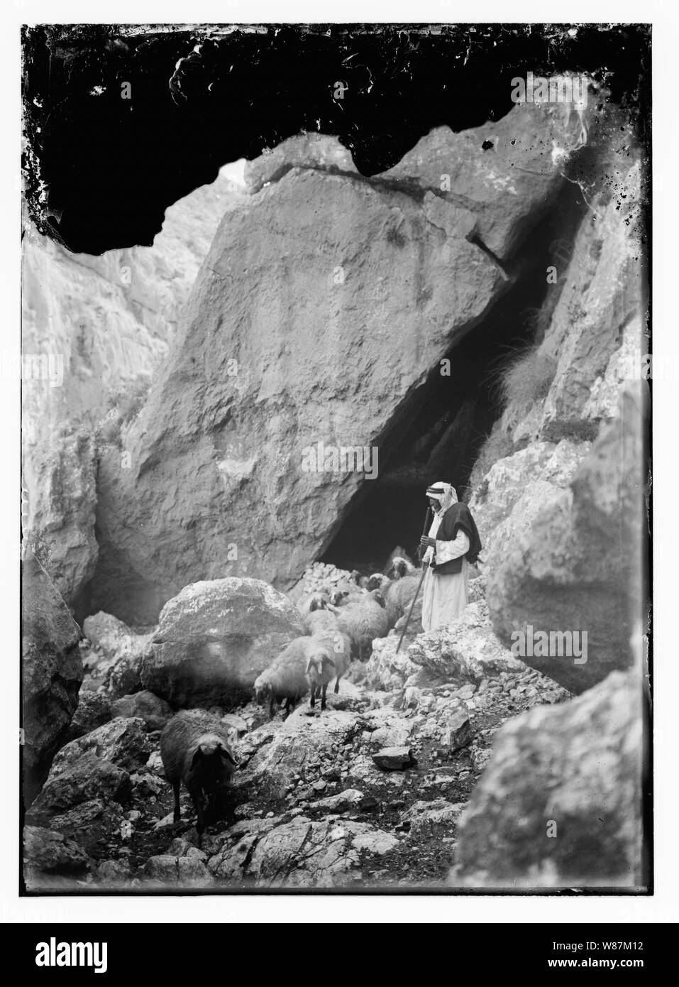 Psaume 23, les moutons Banque D'Images