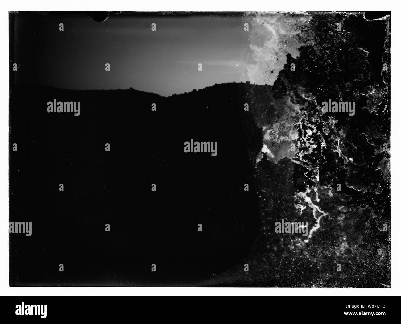Psaume 23, les moutons Banque D'Images