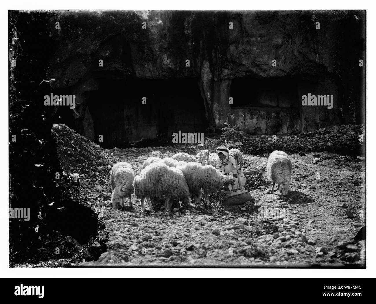 Psaume 23, les moutons Banque D'Images