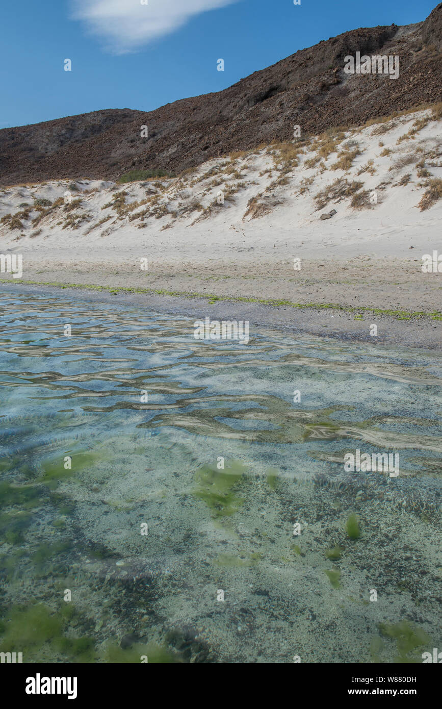 Les paysages marins par le désert de Baja California Sur, La Paz. Le Mexique Banque D'Images