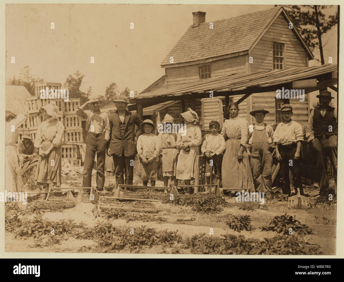 Un groupe de cueilleurs de baies sur Newton's Farm, Cannon, Del. 2 enfants sont de 9 ans, 1 enfant, 15, et 1--16. Ces enfants ont tous été prise au cours des 2 dernières années. Banque D'Images