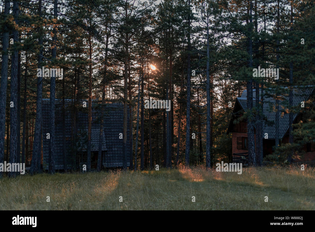 Tara la montagne, Serbie - deux vieilles cabanes placées dans les bois au coucher du soleil Banque D'Images