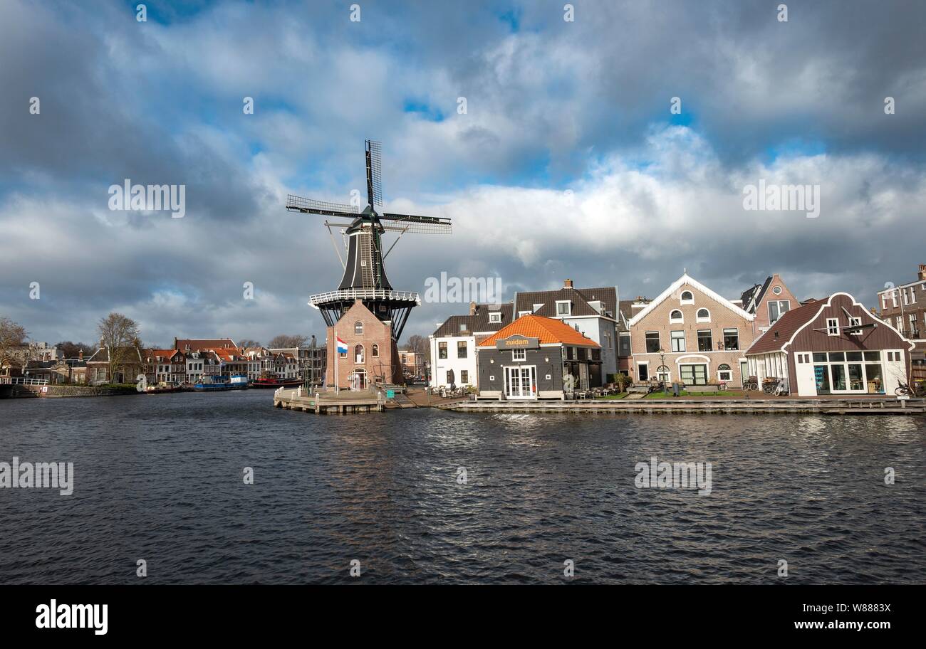 Adriaan De moulin sur la rivière Spaarne, Haarlem, Hollande du Nord, Pays-Bas Banque D'Images