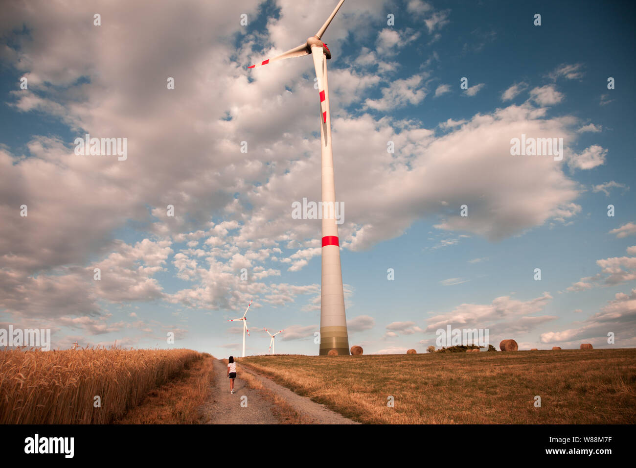 Fille qui marche sur le champ de céréales. Moulin sur l'arrière-plan. L'innovation et ressources pour les futures concept recouvery. Banque D'Images