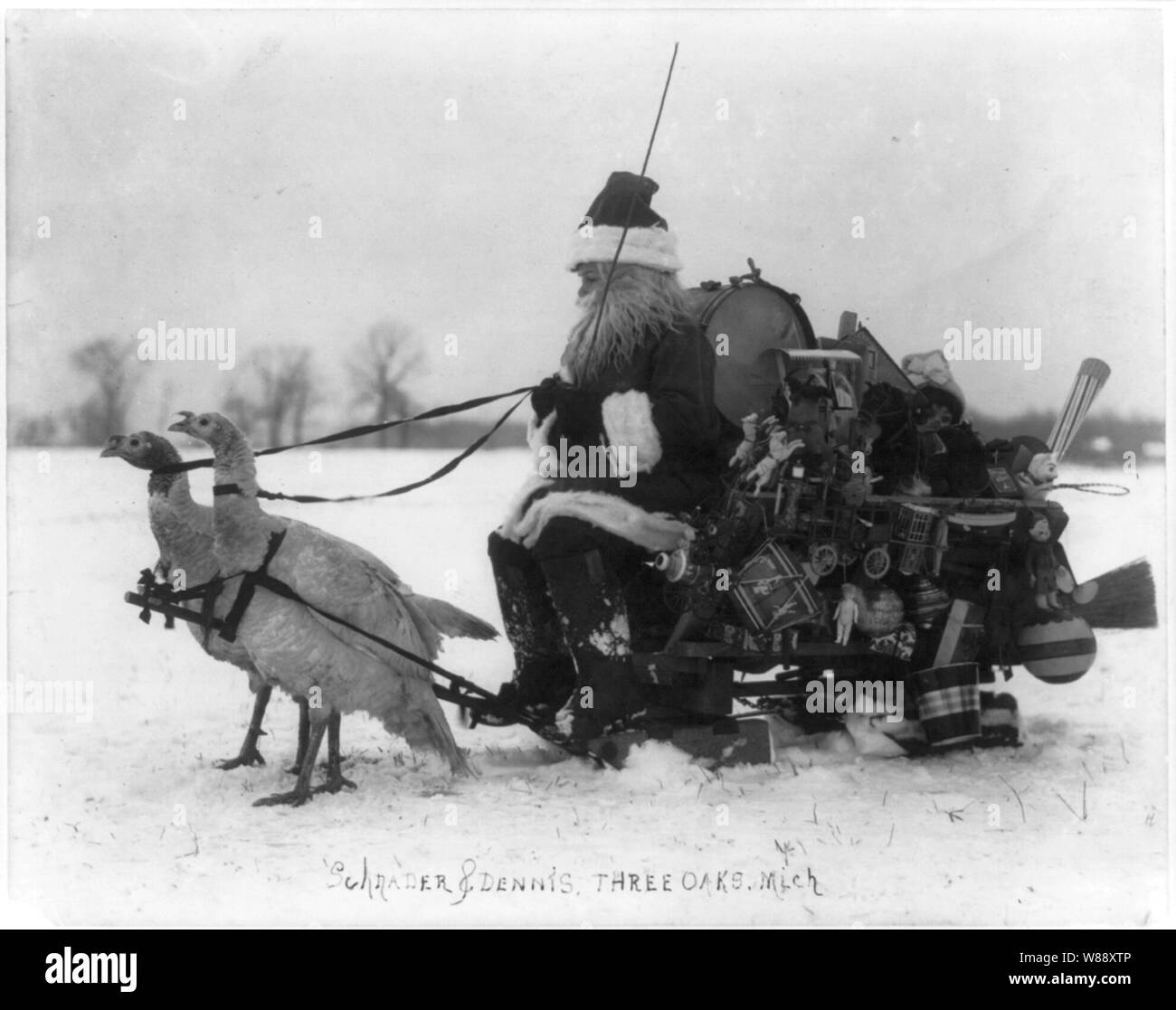 Père Noël avec des jouets de Noël sur un traîneau tiré par des dindes blanches Banque D'Images