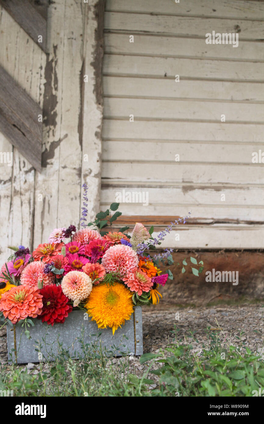 Arrangement floral dans la case en face de fond de Bois Blanc Banque D'Images