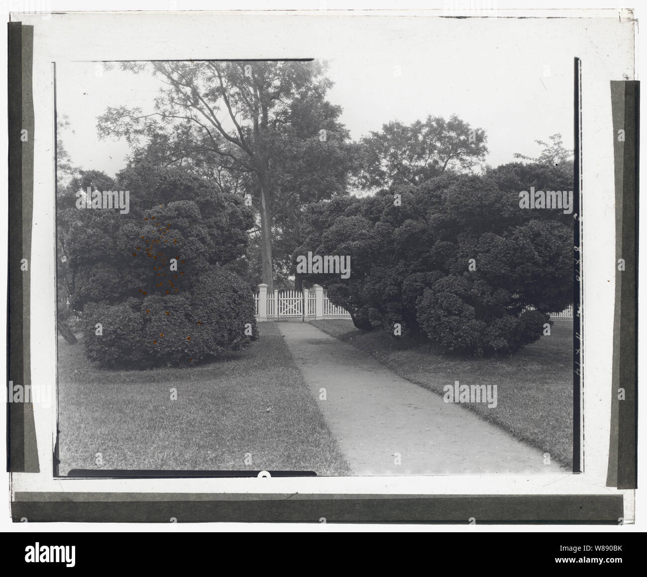 Sylvester Manor, Cornelia Horsford house, Shelter Island, New York. Le buis à pathway Banque D'Images